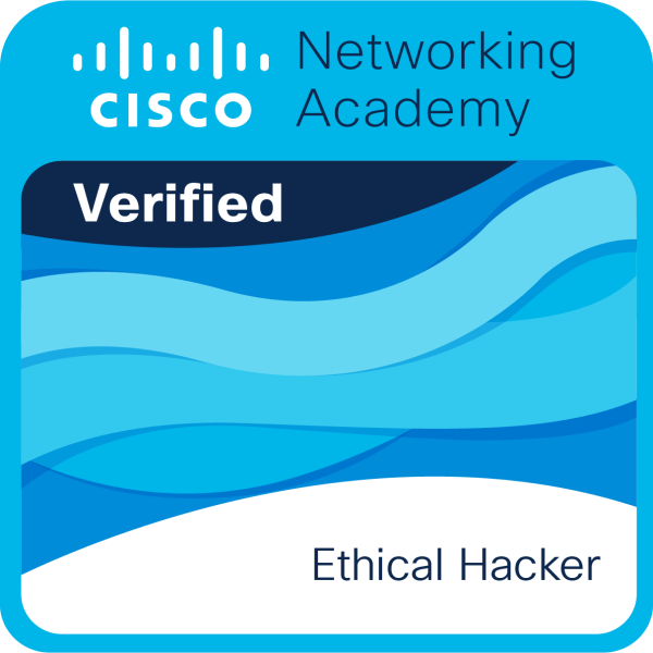 Cisco Network Academy